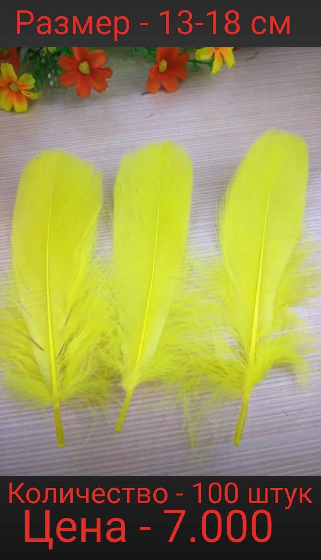 Жёлтые перья для украшения