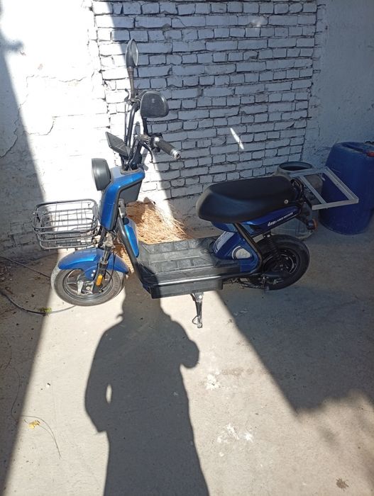 Sukter sotiladi srochno