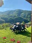 Cazare Transalpina Terasa cu Plăcinte
