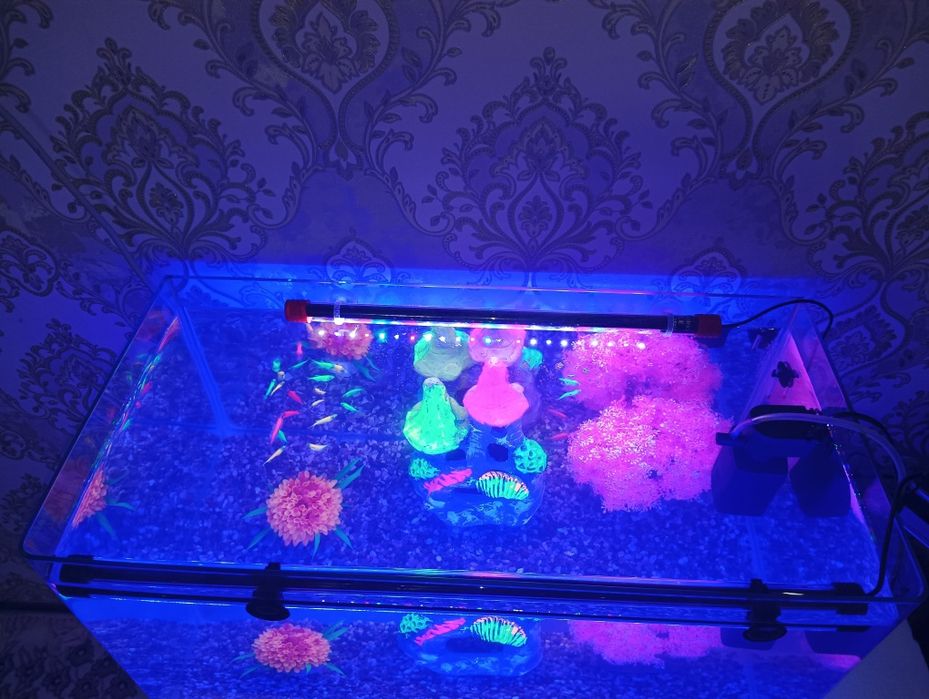 Хитой аквариум 60 литр комплект