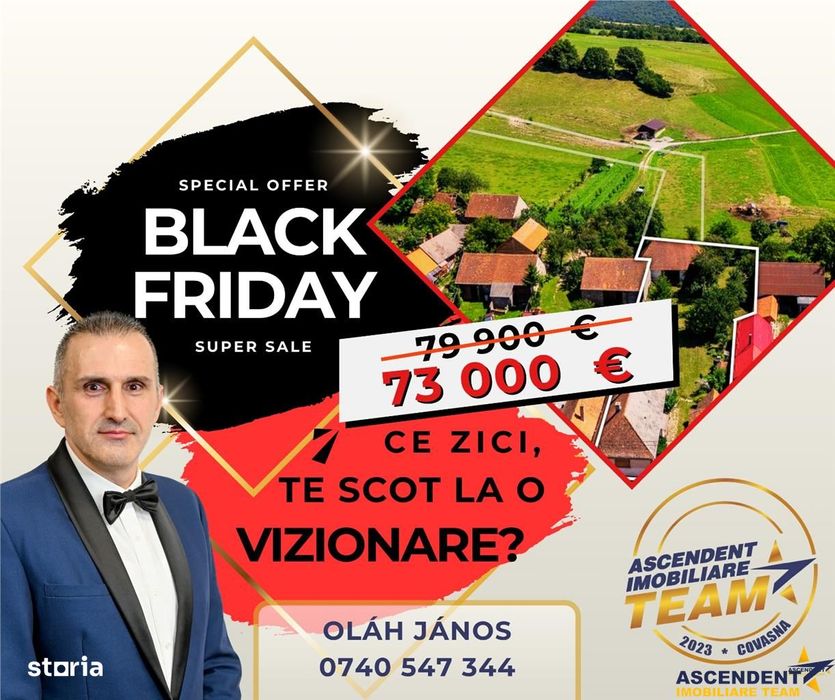 FILM!Doua case traditionale,pe domeniu cu peste 5.000mp teren,Bixad,Co