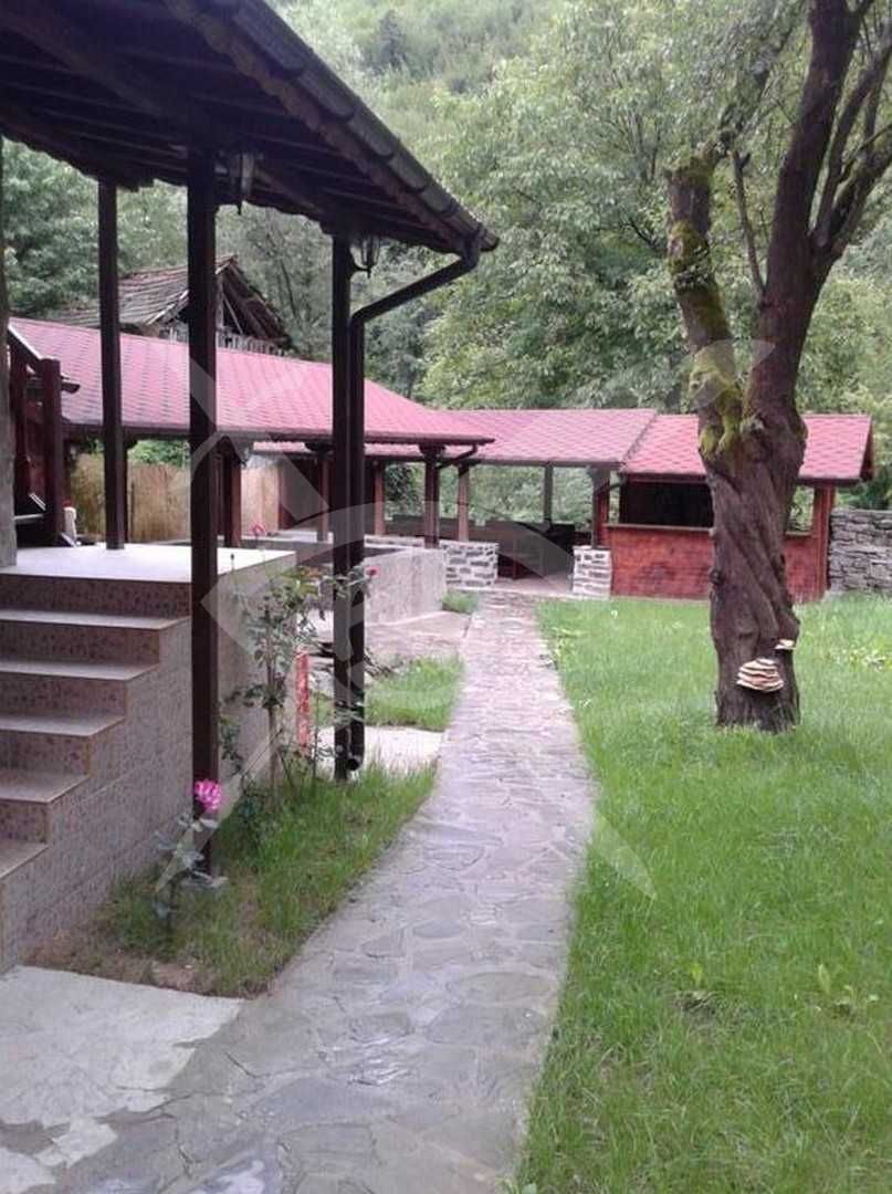 Къща в село Лопян № 12408