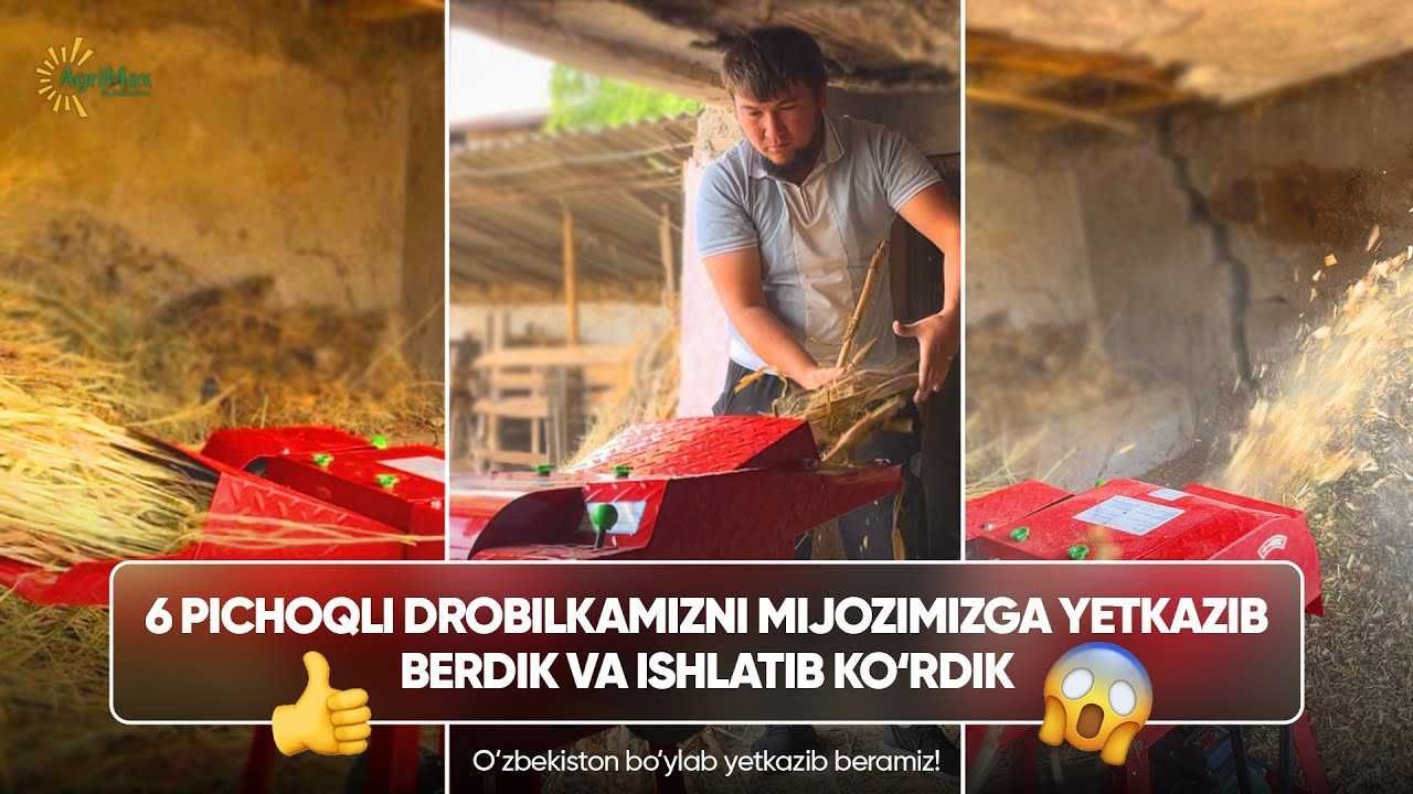 6 пичоқли дробилка (жоди) оптом ва донага