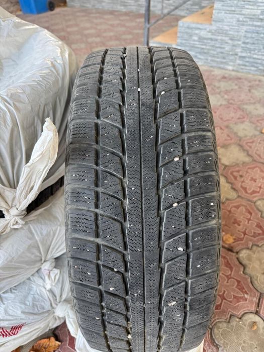 Зимние  шины Triangle Snow lion