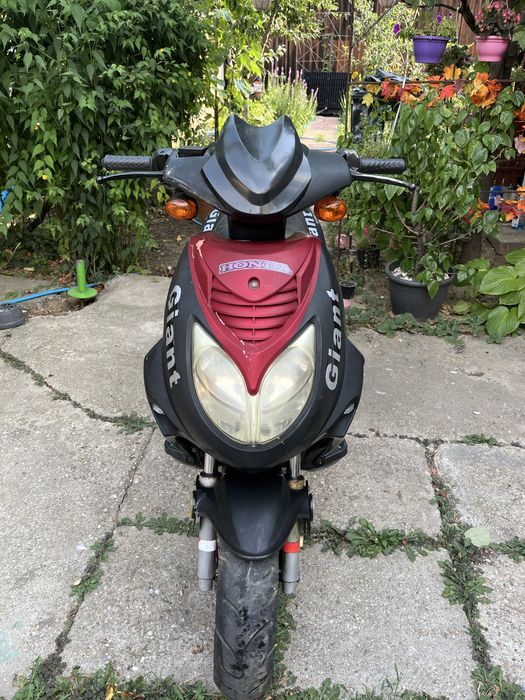 Vand acuter 49 cc , an 2008