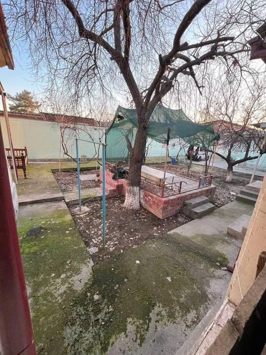 Аренда участка 5 хона 6 соток.  Рисовый. Рядом ассалом сохил