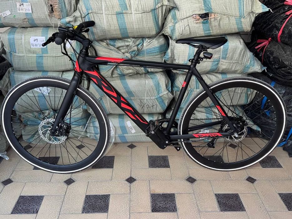 Electric bike arginal