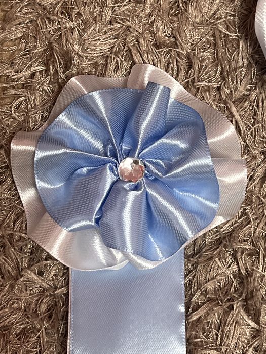 Panglici/ cocarde clasa a 4 a si a 8 a