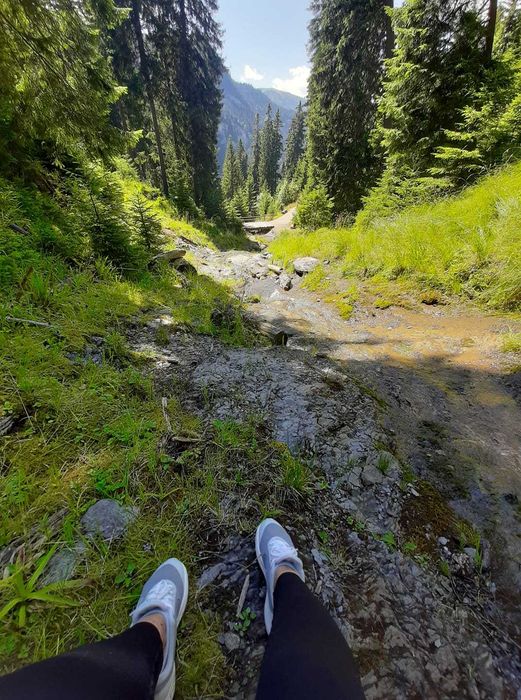 Oferta!!!Teren construibil aproape de centrul orasului Borsa Maramures