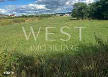 Teren constructii pretabil HALE sau Locuinte!suprafata totala 50.000mp