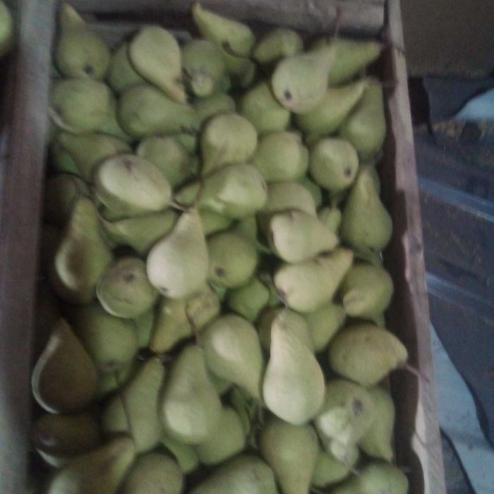 Нок сотамиз ширин