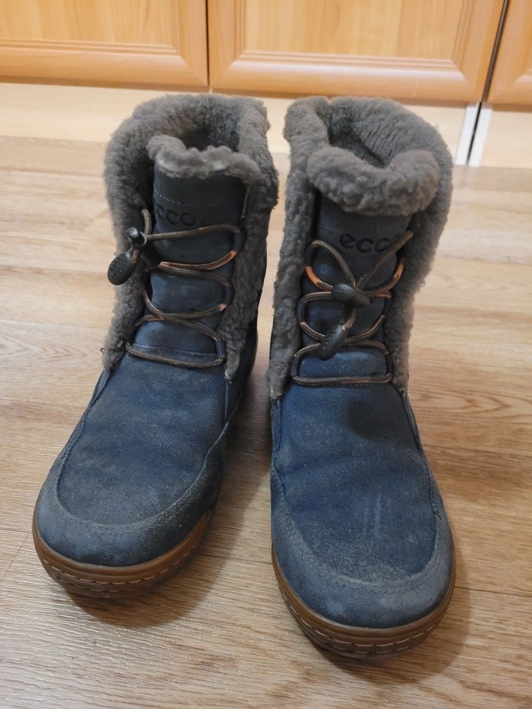 Зимние сапоги ecco