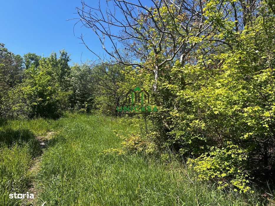 Teren intravilan/934 mp/Lenin Sud