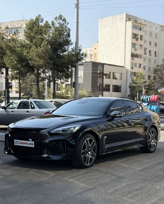 Stinger GT Steg klingan krasak toza