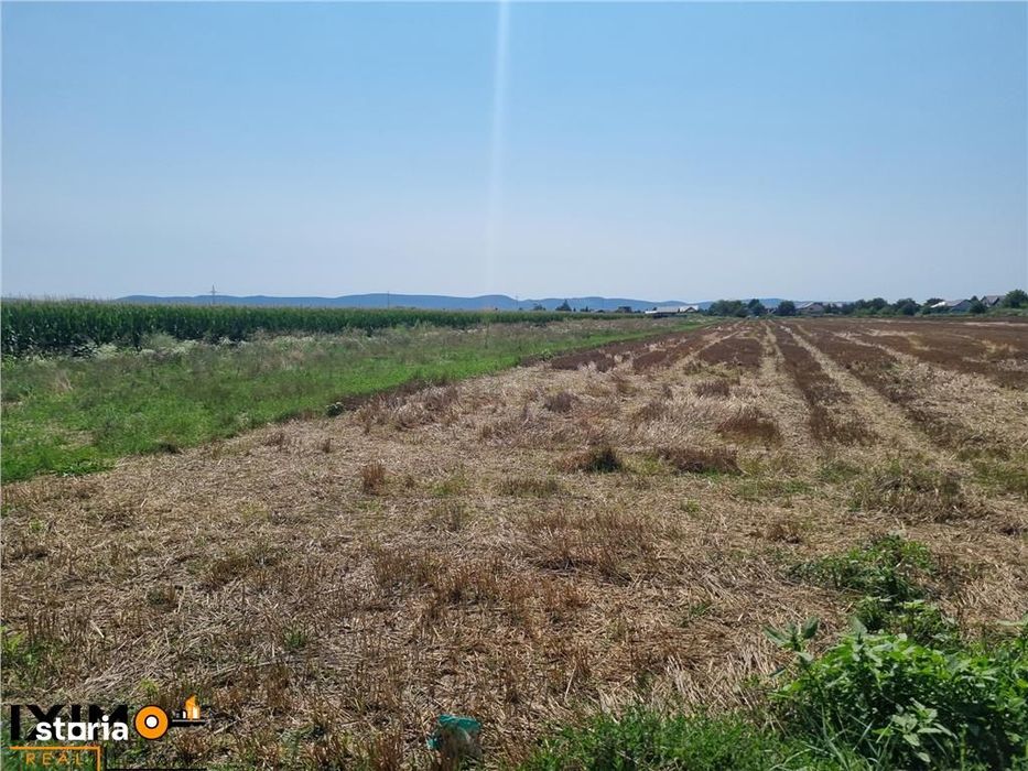 Teren Calea Barladului