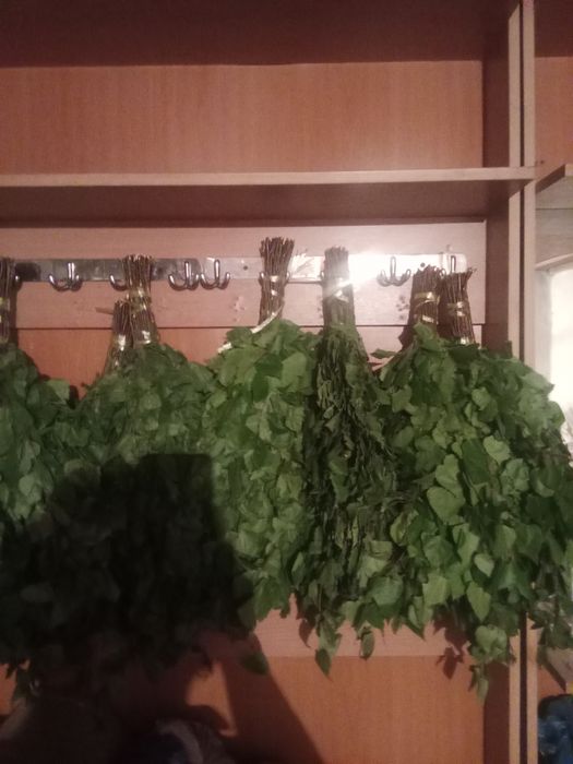 Банные веники березовые и дубовые, пихтовый