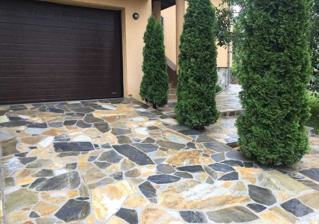 Plante ornamentale de diferite modele