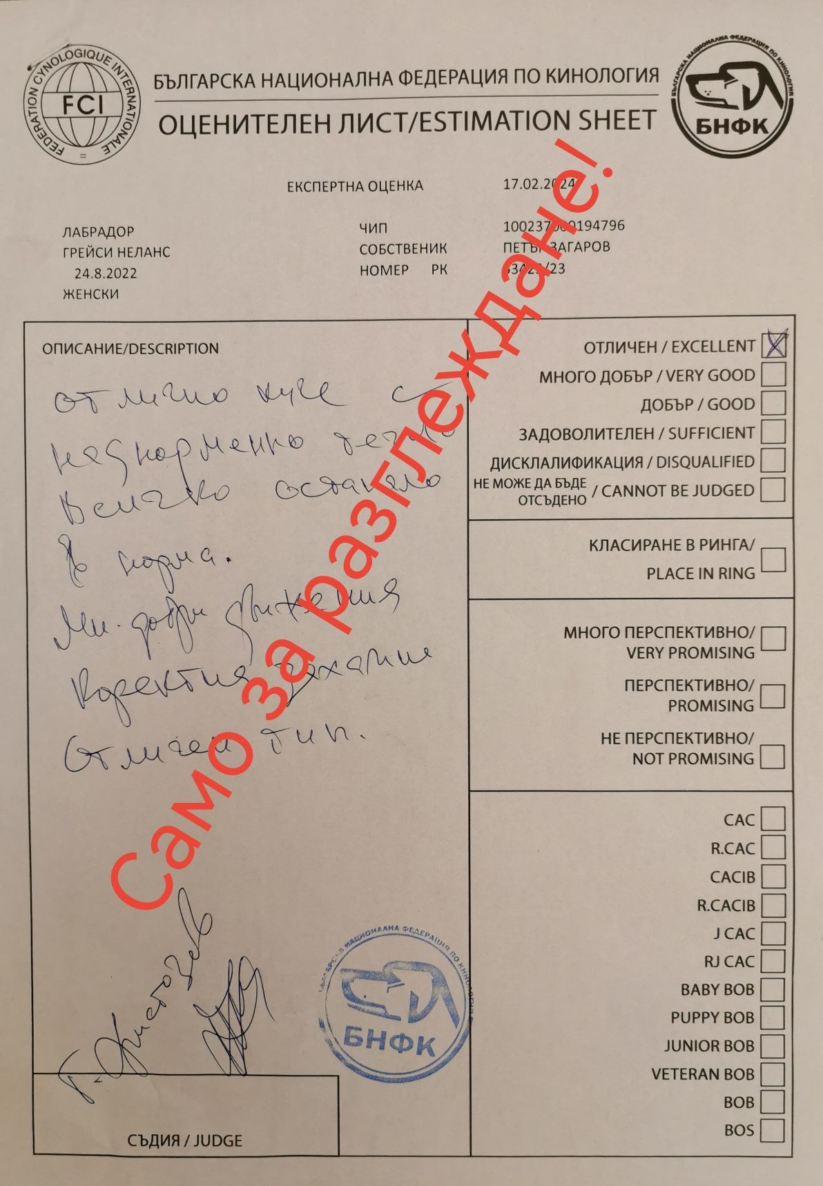 Лабрадор Ретривър, родословие