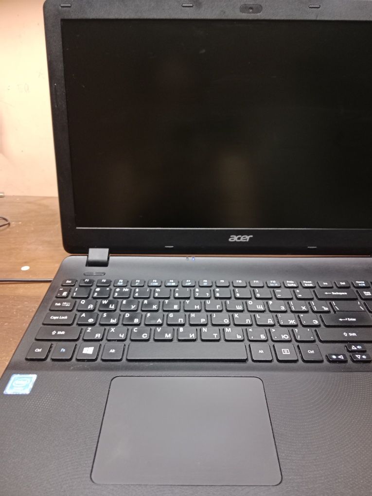 Acer extensa 2519