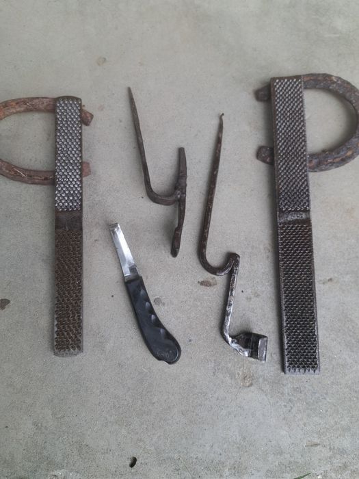 Scule / rașpel copite cai