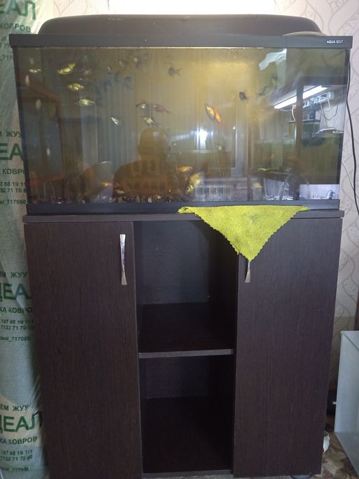 Продам аквариум с тумбой