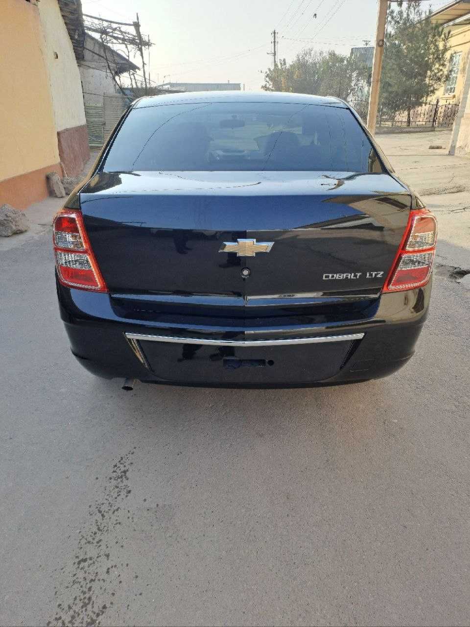 ЯНГИ салондан уйга собалт
