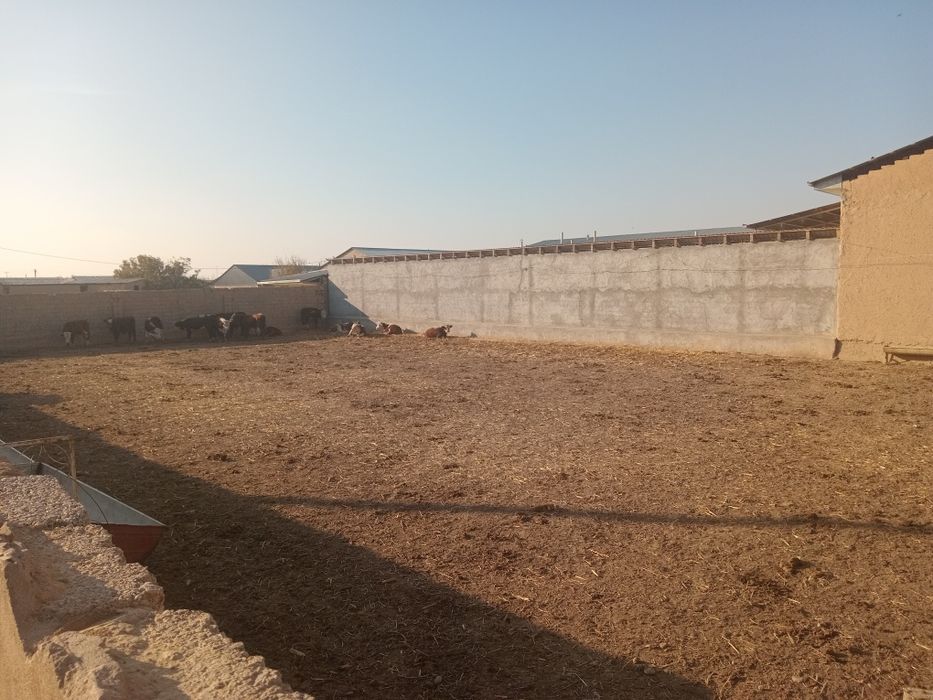 Ер сотилади умумий майдони 8 сотик