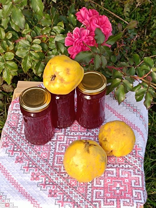 Пелте от дюли, джинджифил и лимон