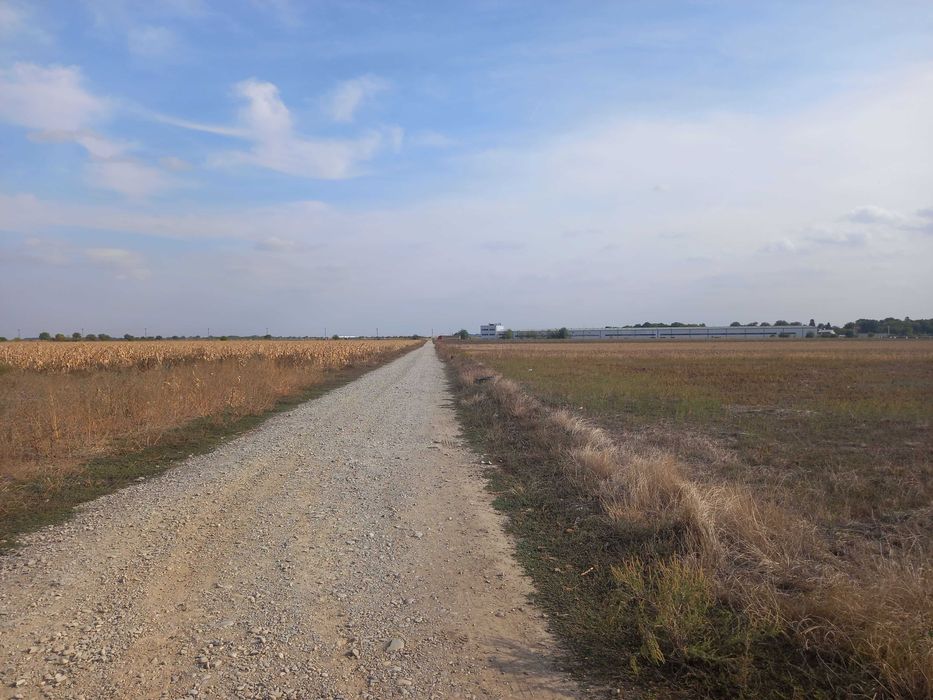 Teren extravilan Dascalu, 10.000 mp