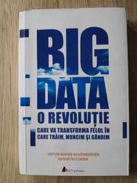 Big Data. O revolutie care va transforma felul in care traim..