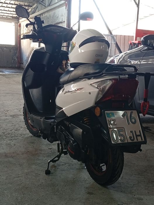 Дайанг 49куб 2023