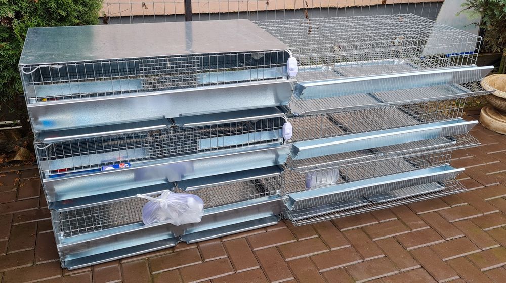 Baterie pentru 50 de prepelite