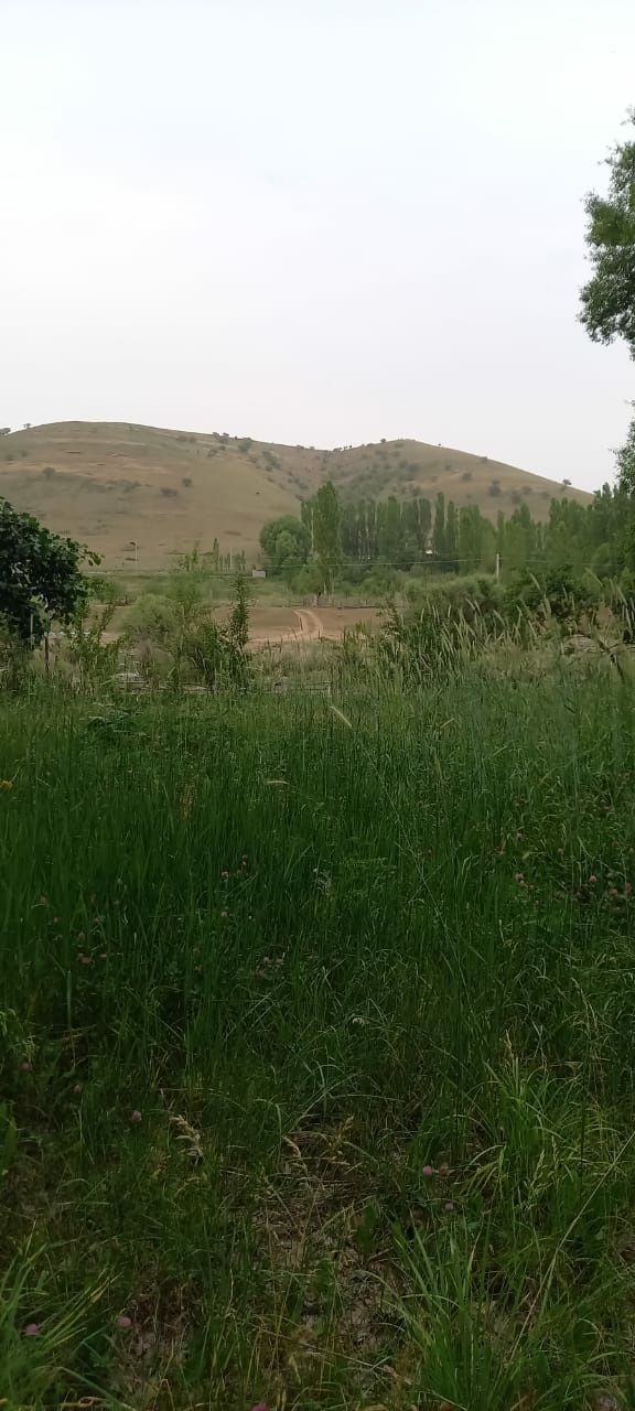 Жер телімі табиғаты жақсы