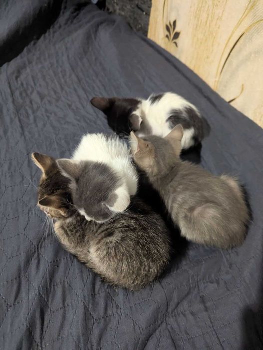 Подарява малки съкровища