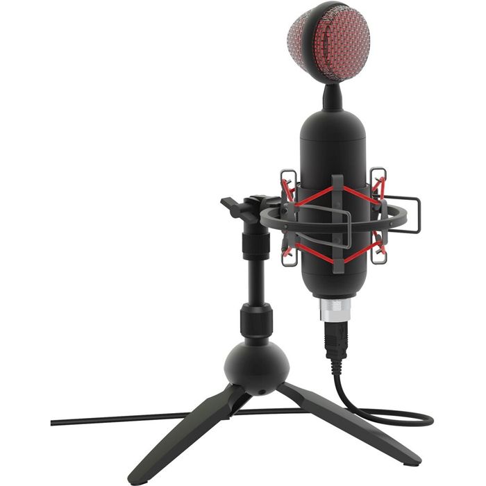 Микрофон Ritmix RDM-230 черный.  Алматы