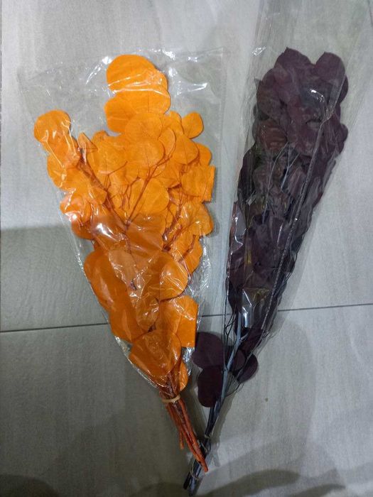 Стабилизированный мох и Растения