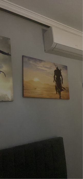 Assassin’s creed панорамни плакато(може отделно)