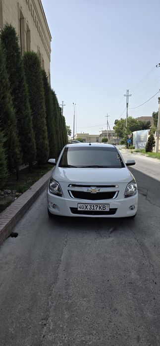 Cobalt 2023 kraska toza