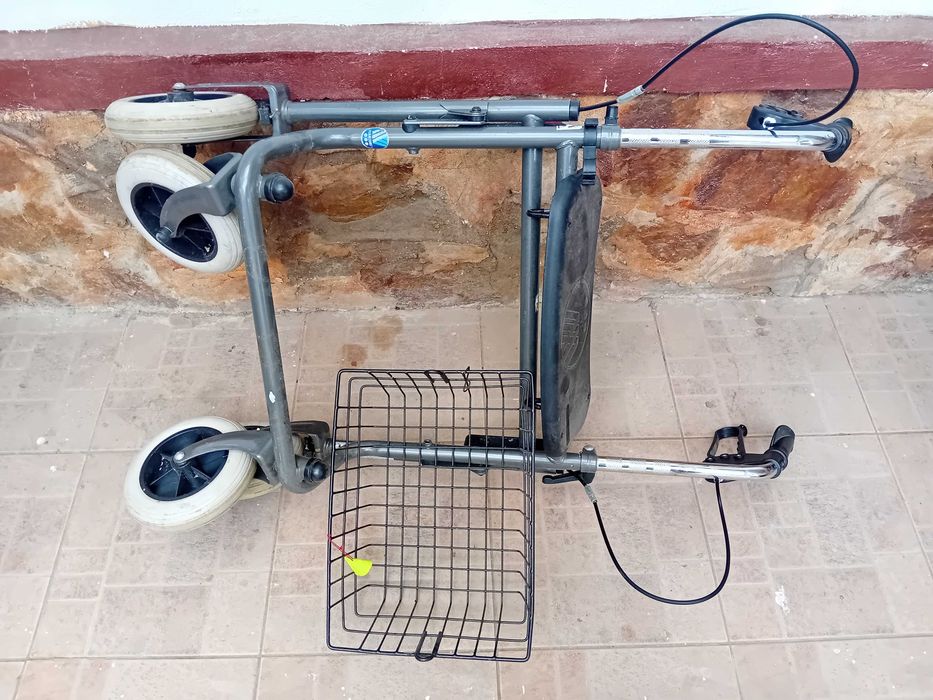 Cadru de mers pe roti.+.cos.2