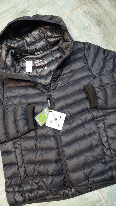 geci barbati S Hollister