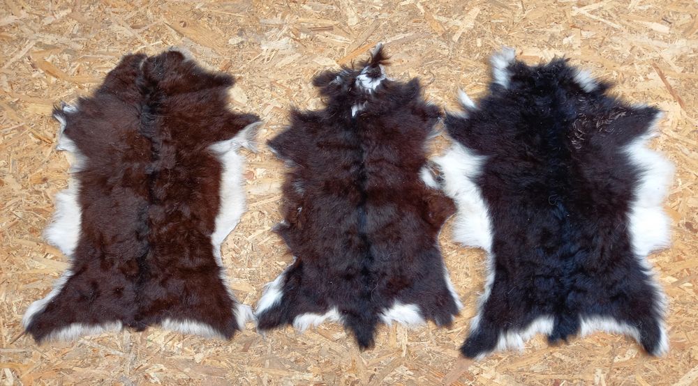 Piei/Blănuri argasite Ied/Capră