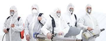 Дезинфекция Дезинсекция Дератизация Dezinfeksiya