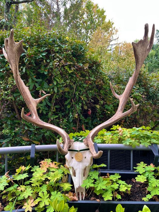 Златен медалист трофей от Елен лопатар