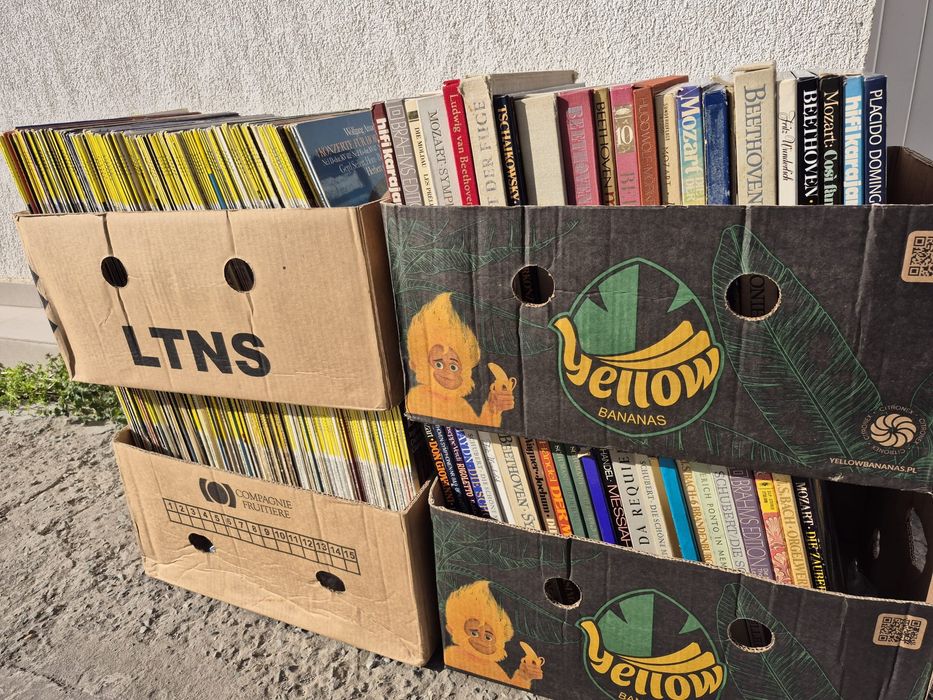 Vând Lot 100lp Discuri Vinil cu muzică clasică mixta