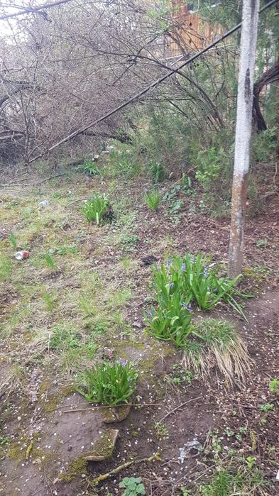 Продава се Къща в с. Коняво, Област Кюстендил - 60 кв.м за 332 €/кв.м - Снимка #5