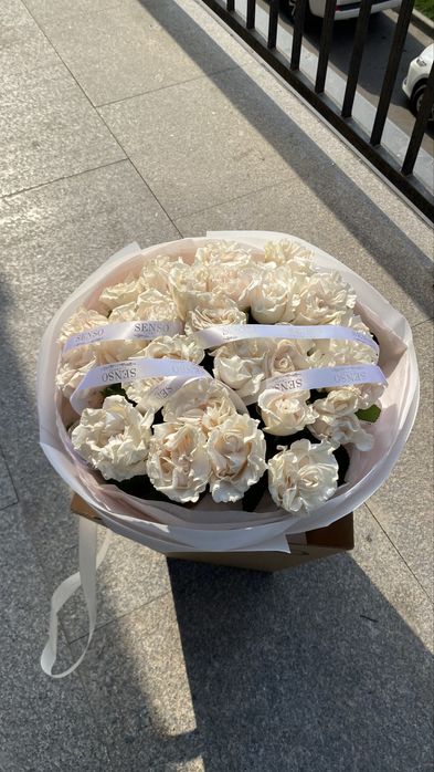Белые розы сорт микс экспрешн