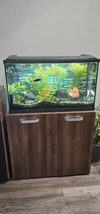 Оборудван аквариум с шкав ,риби и техника