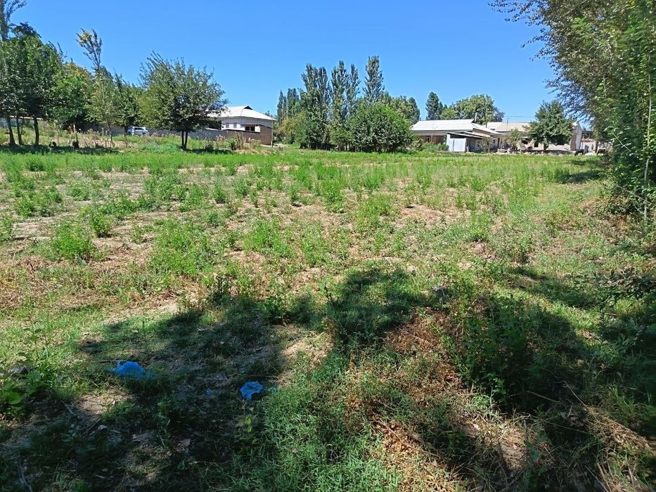 Yer uchastkasi sotiladi