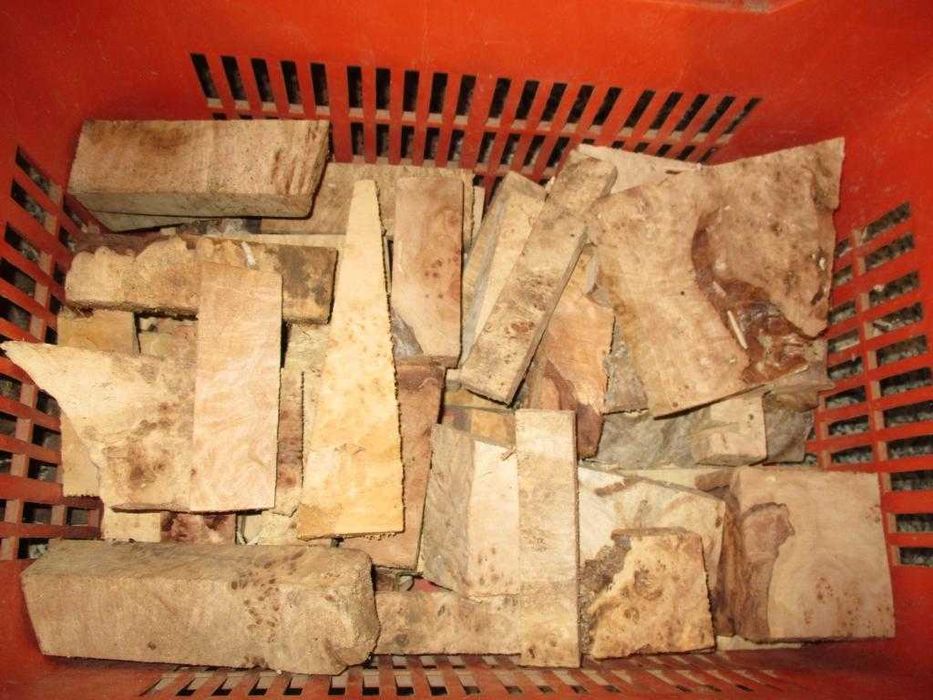 Подарявам трупчета от туморна топола