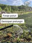 Foraje puturi denisipari apa